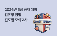 헌법 판례, 이론, 조문 및 부속 법률 등 전반적 정리